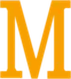 Max Game Manufacturer